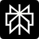 Perplexity AI Logo